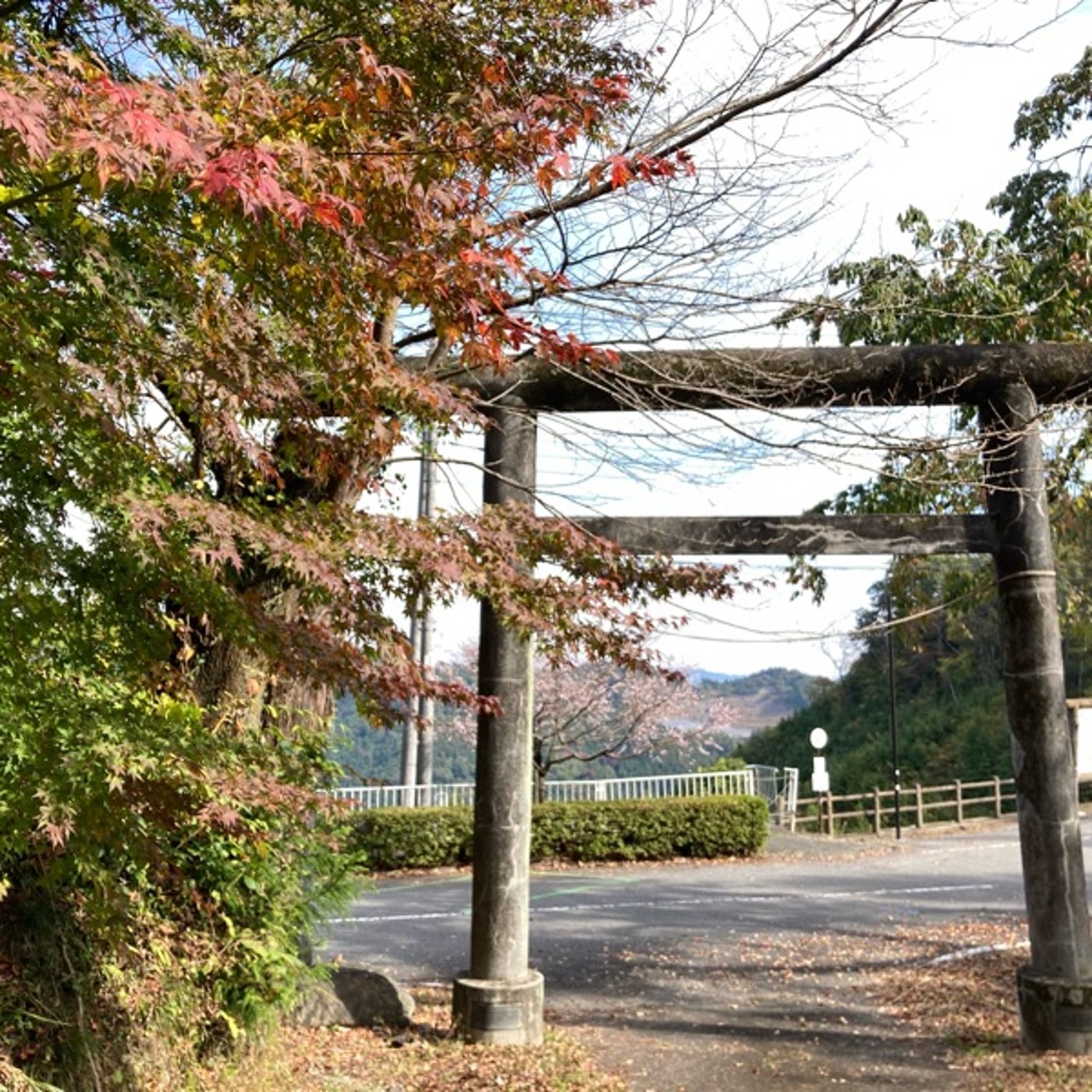 やや慣れてきた仕事とか集中力持たないから休憩取ろうとか継続で身体は変わるとかの話 episode artwork