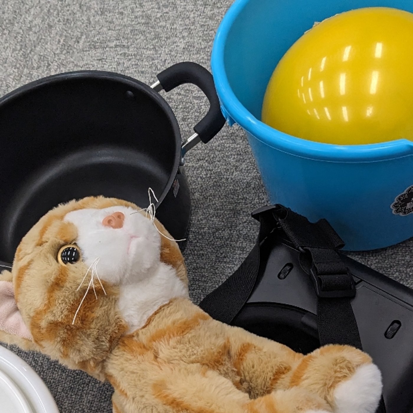 「猫が削除した検索履歴」