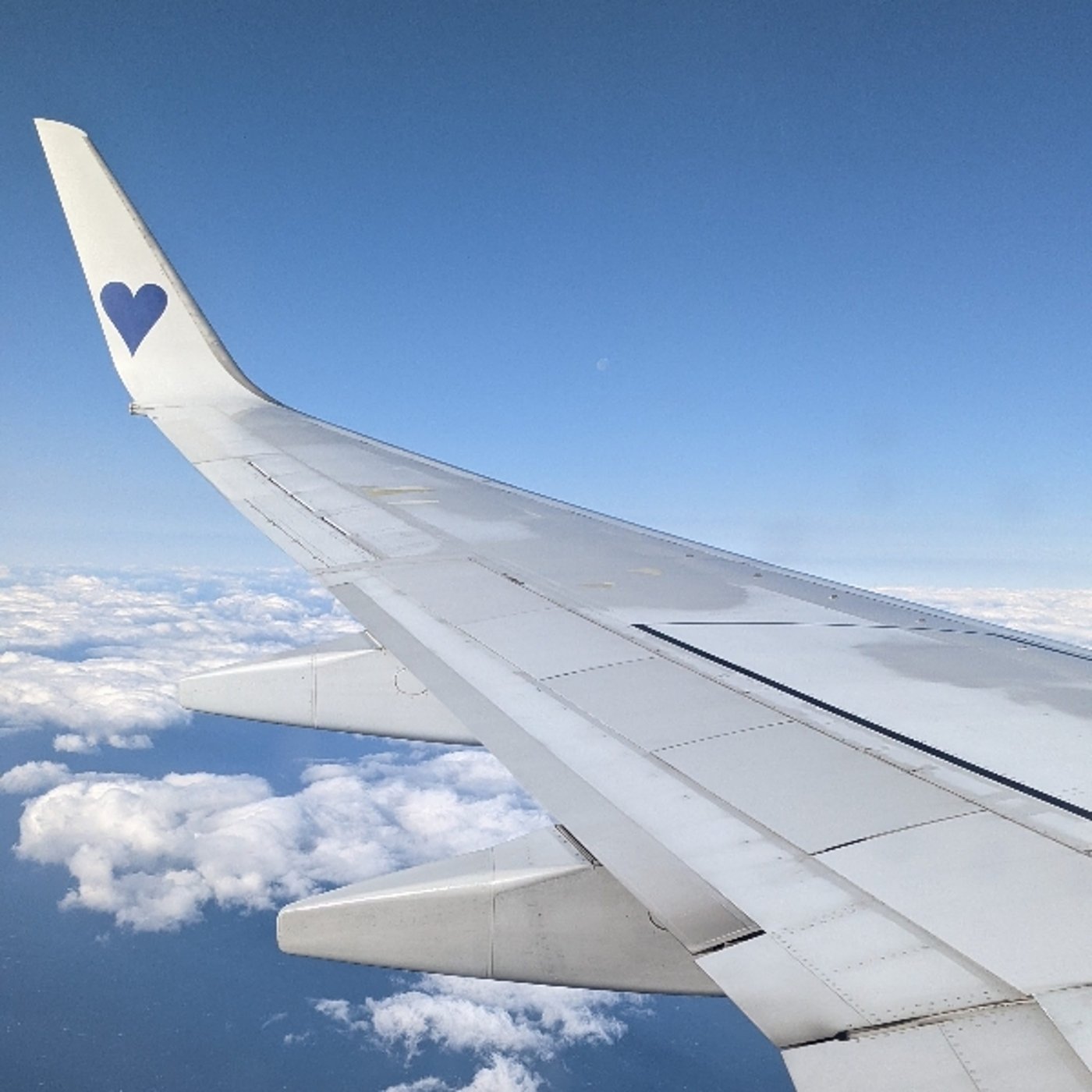 「飛行機でこの中に、で探された人」