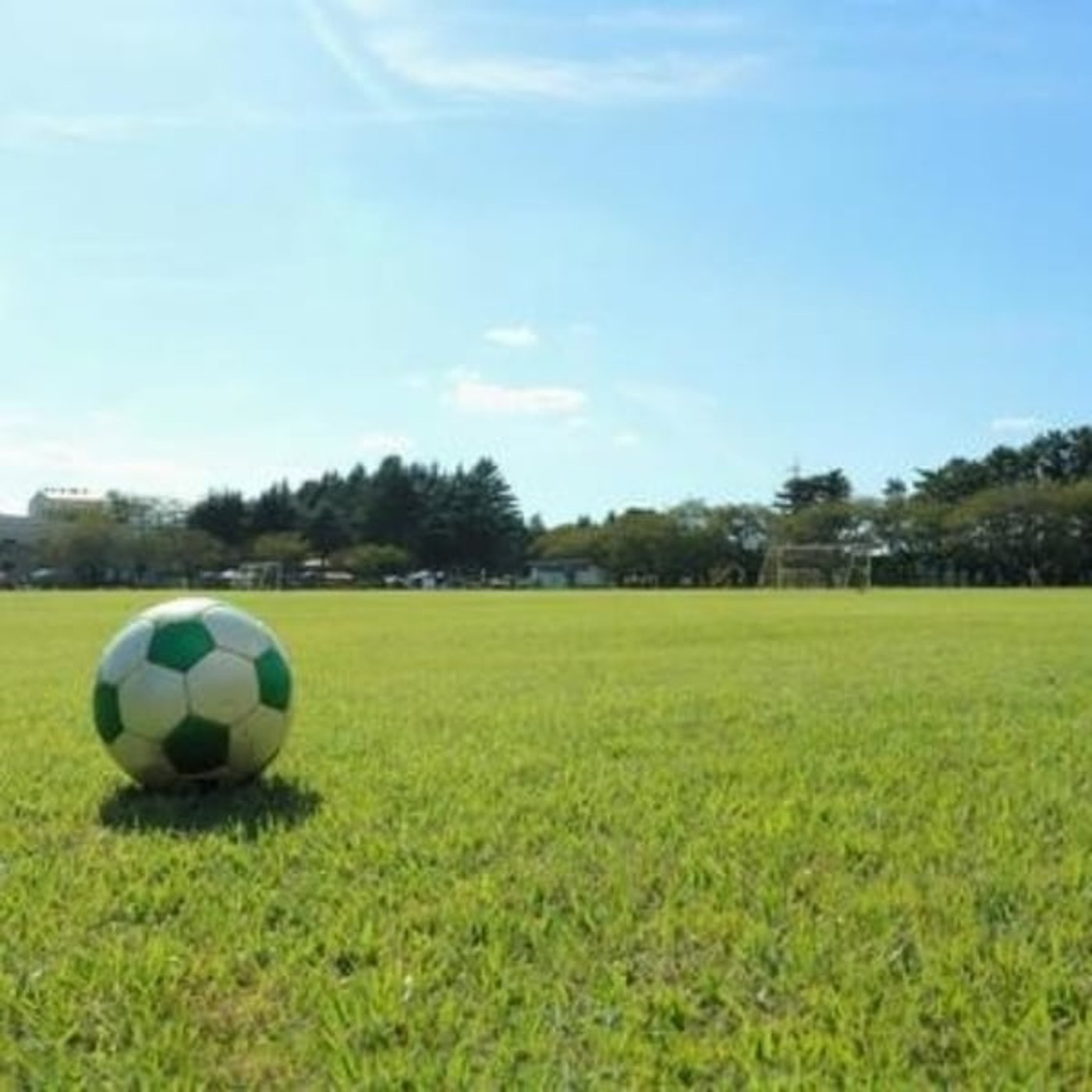 高校サッカー選手権奈良県代表が決まりました！ episode artwork