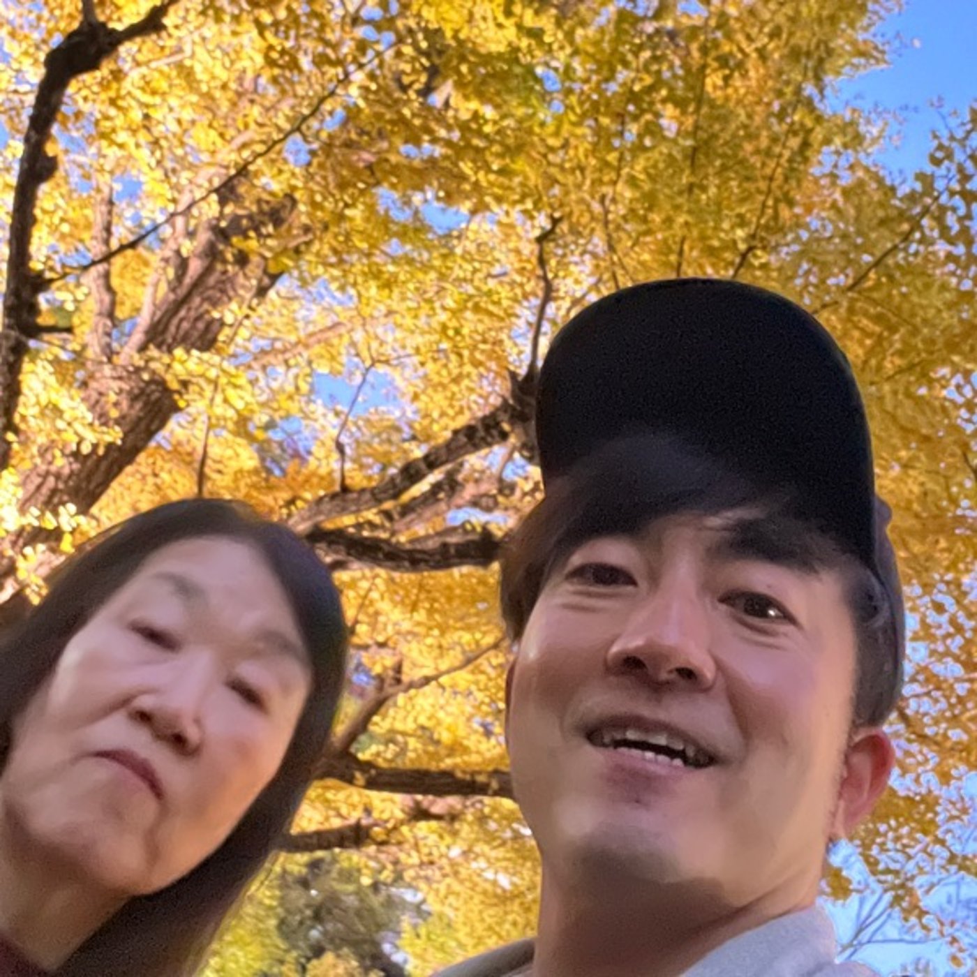 【第387回】外苑前のイチョウ並木行ってきたよー！！！