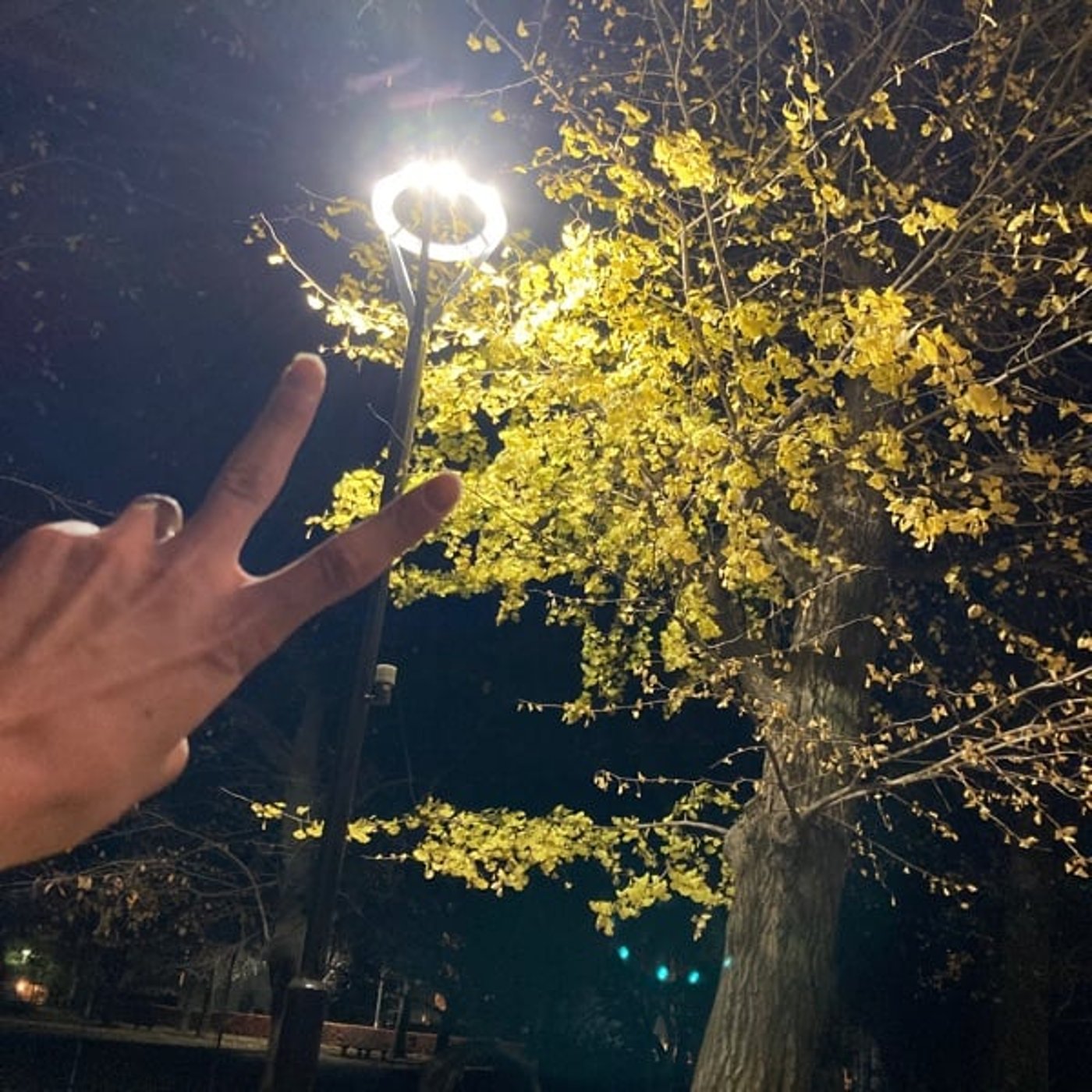 SNS・ビジネス・マーケ・エンタメを語るけんたんラジオ！