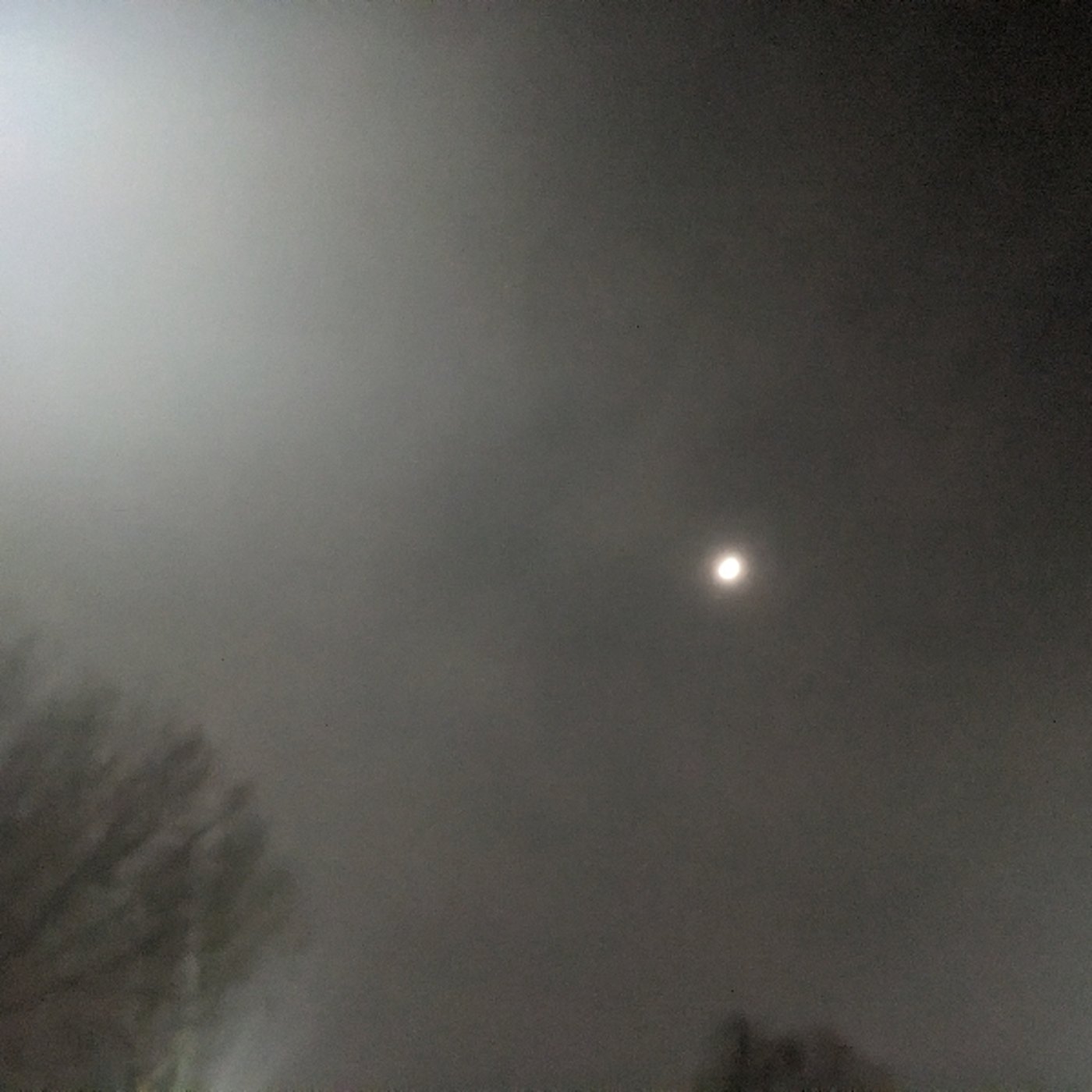 「お坊さんの除夜の鐘を鳴らしてる最中に湧き出た煩悩」