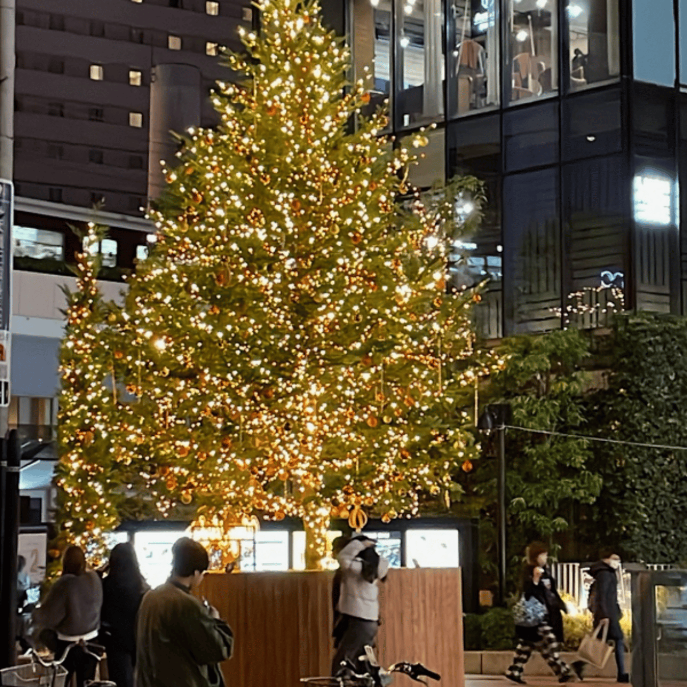 ゆるっとクリスマスの想い出2 episode artwork