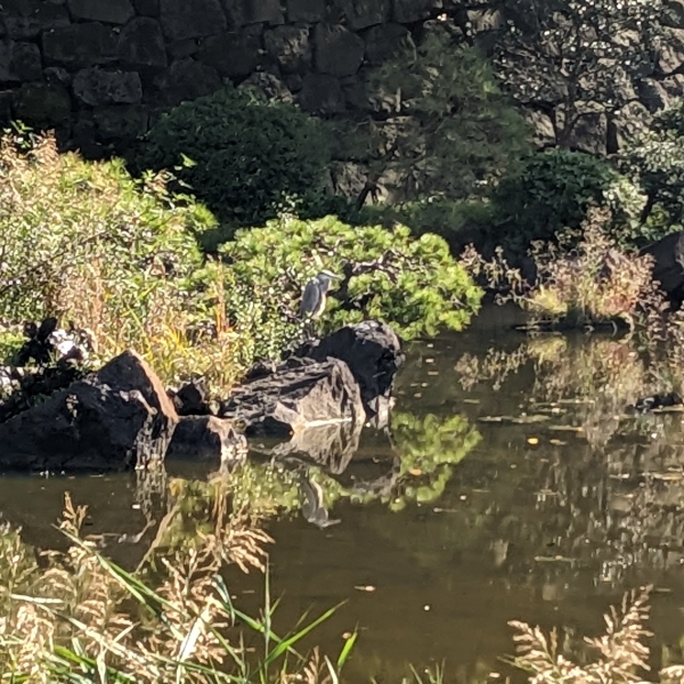 「人間失格のかき出しかと思ったら違った文」