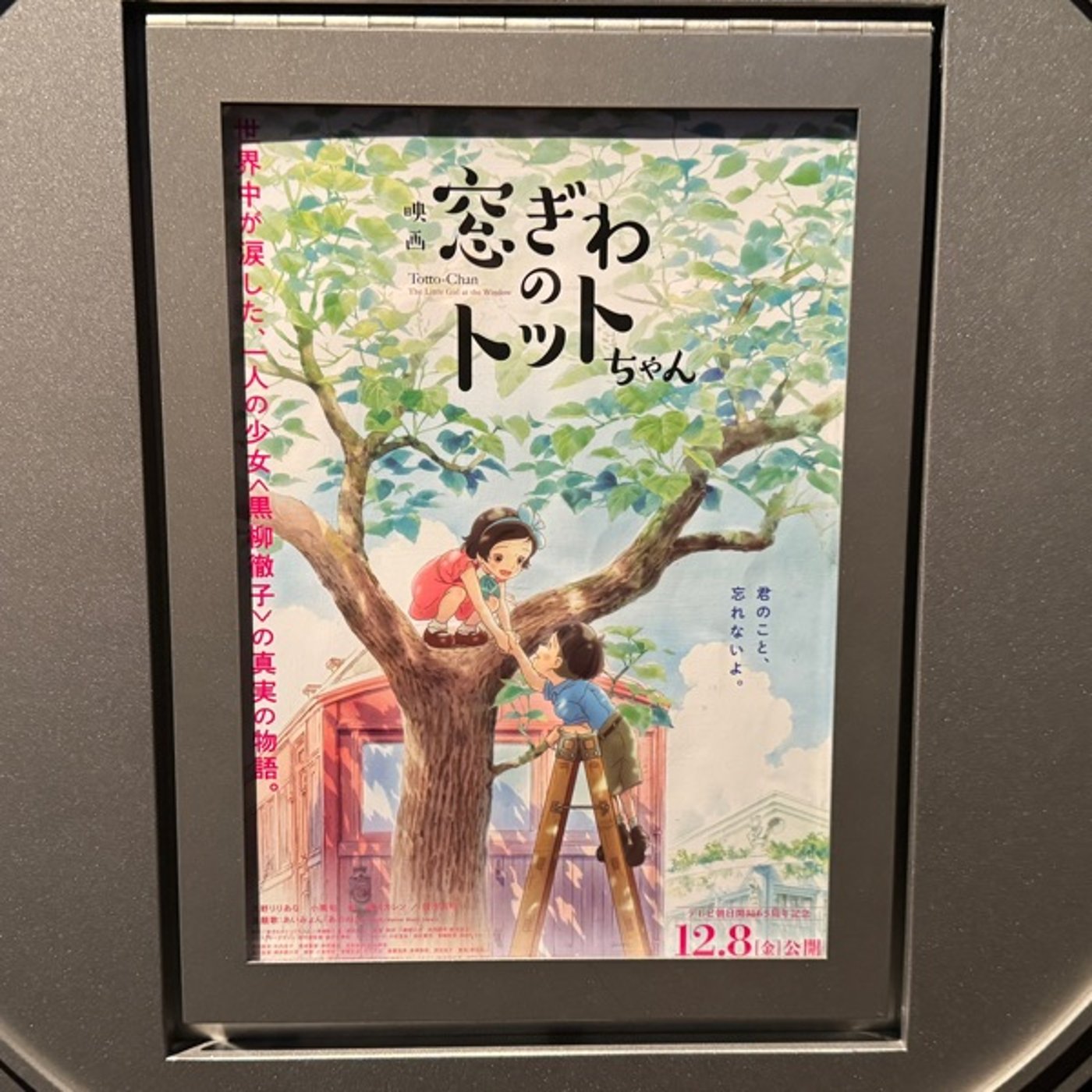 【第1200回】🏫学校教育の悪循環🏫マズイことを称えてる☹️ episode artwork