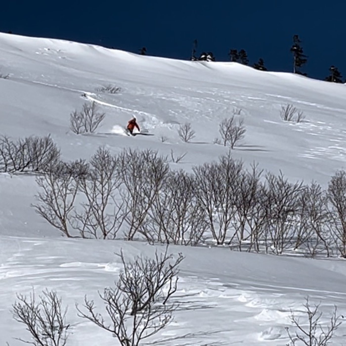 #0575 誰と一緒に山へ入るか