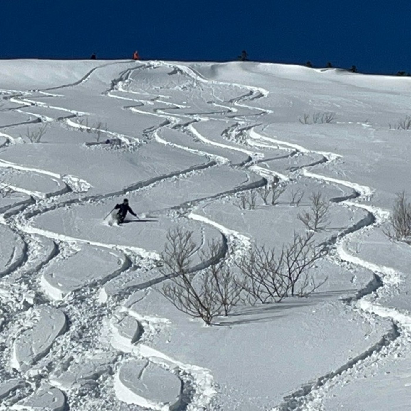 #0579 遭難を防ぐには面倒くさがらないが秘訣