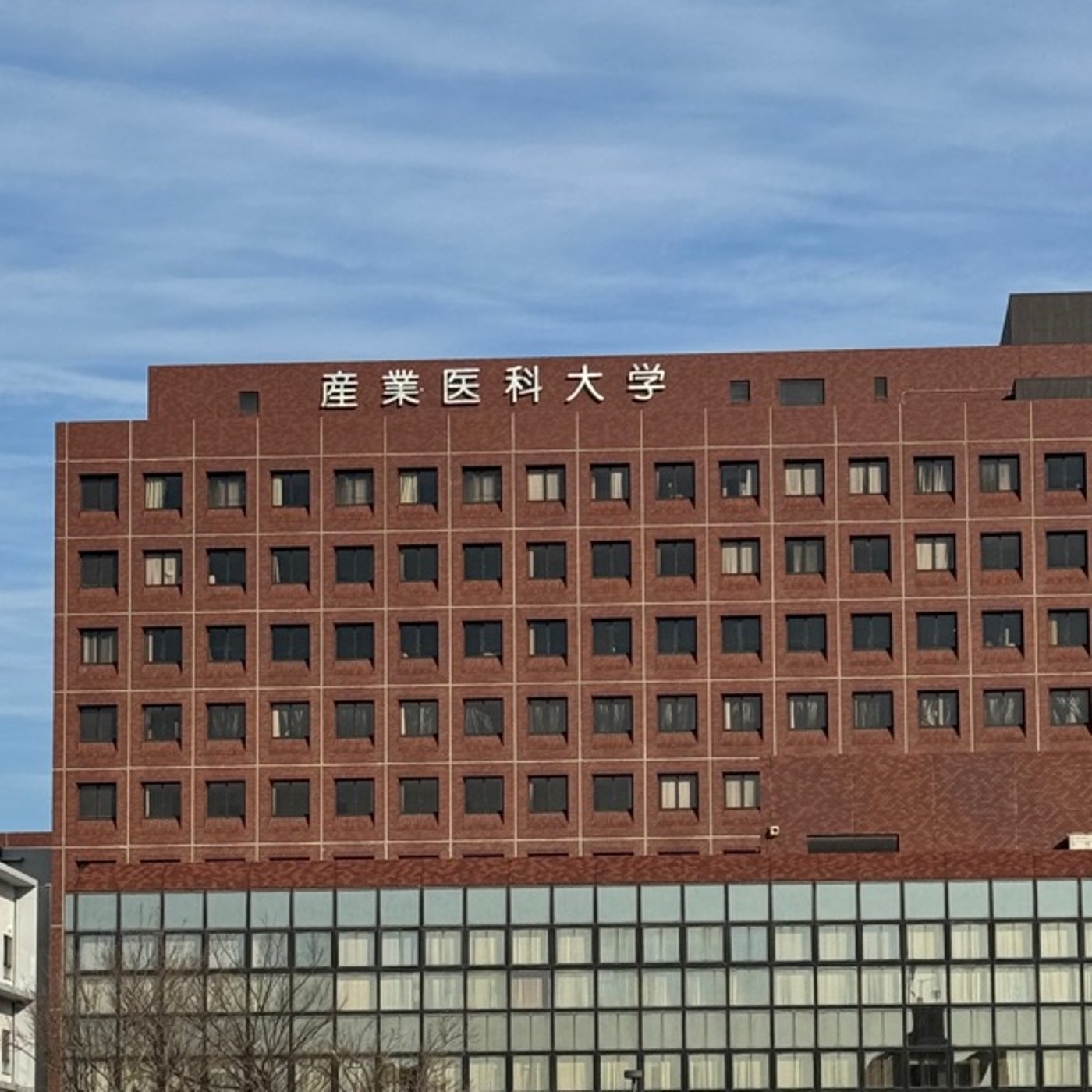 【第1229回】🏙️コンパクトシティの必要性🏥父を連れて行き思う🤔 episode artwork