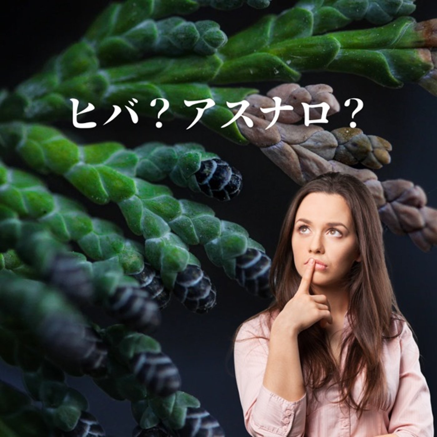 #324 ヒバ？アスナロ？同じもの？ episode artwork