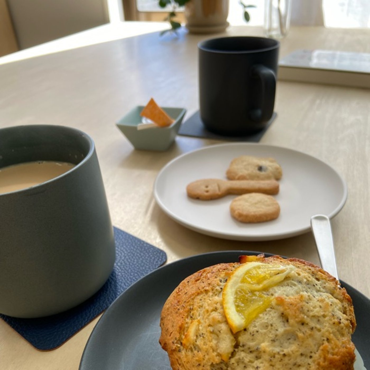 90歳母の長生きの秘訣がわかった日 90歳母の長生きの秘訣がわかった日