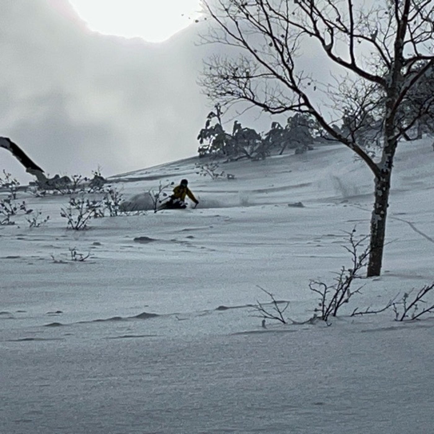 #0621 3月ですが新雪のチャンスが多めです！