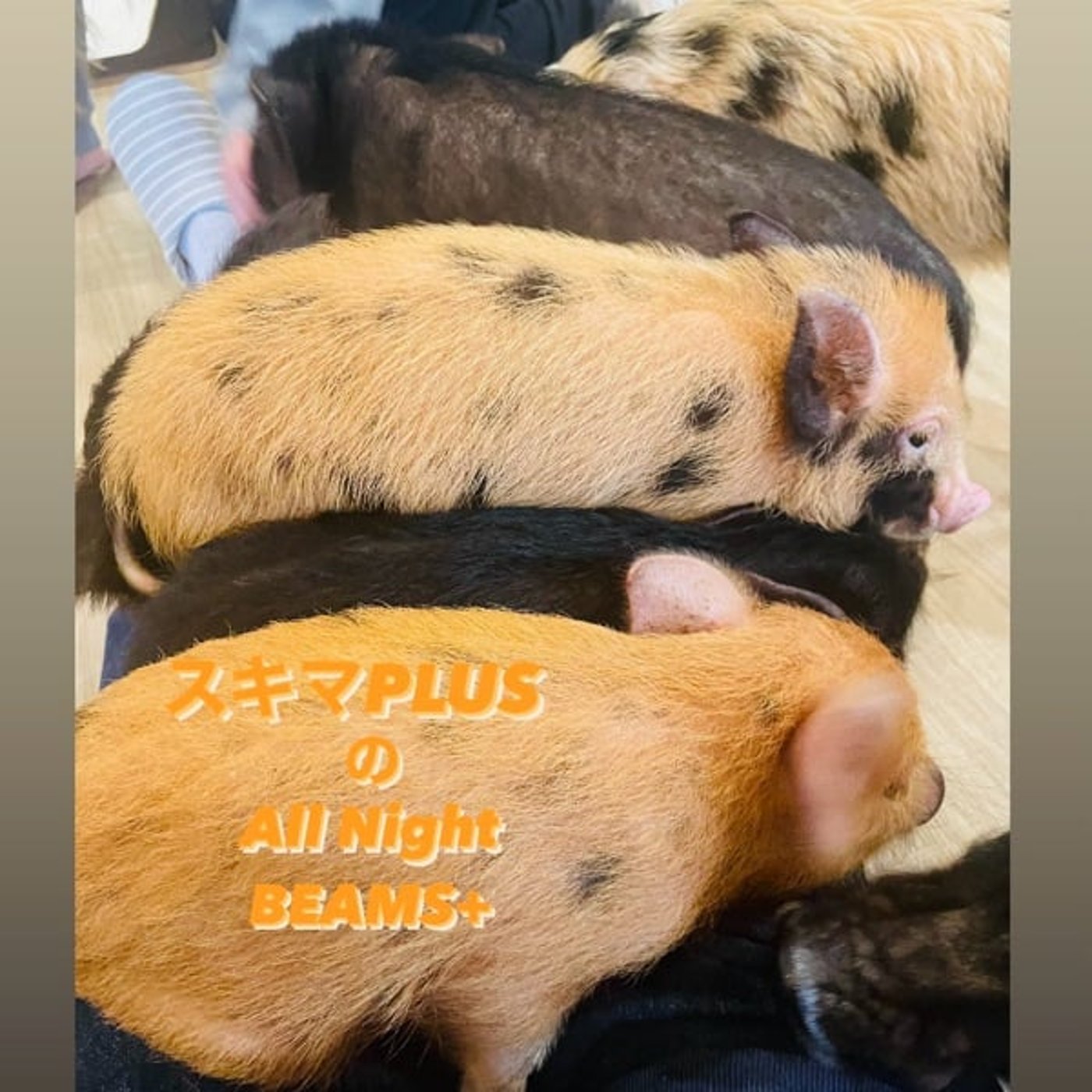 スキマPLUSのAll Night BEAMS+ #78