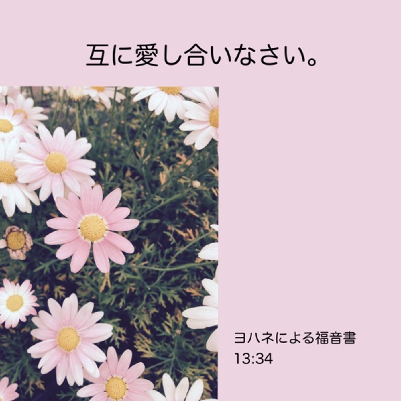 ハイエースを初めて運転したこと🚐互いに愛し合いなさい episode artwork