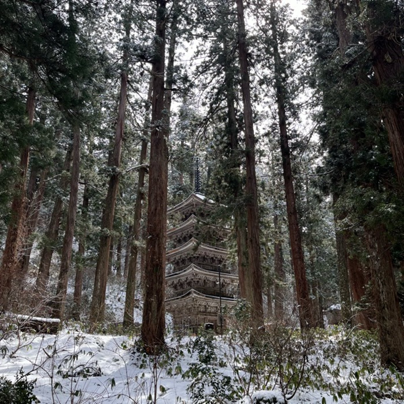 #0642 羽黒山で全集中させてきました