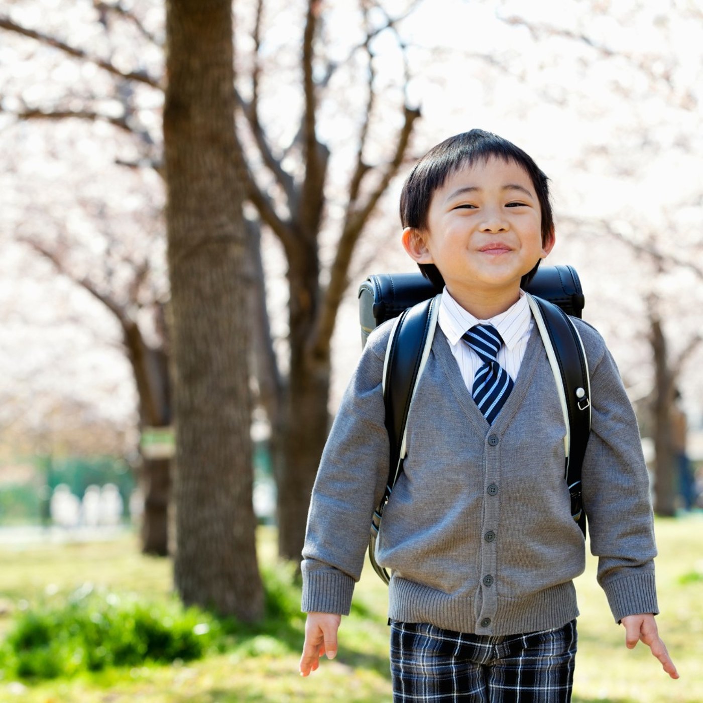 #338　小学生男子とアロマの対談 episode artwork