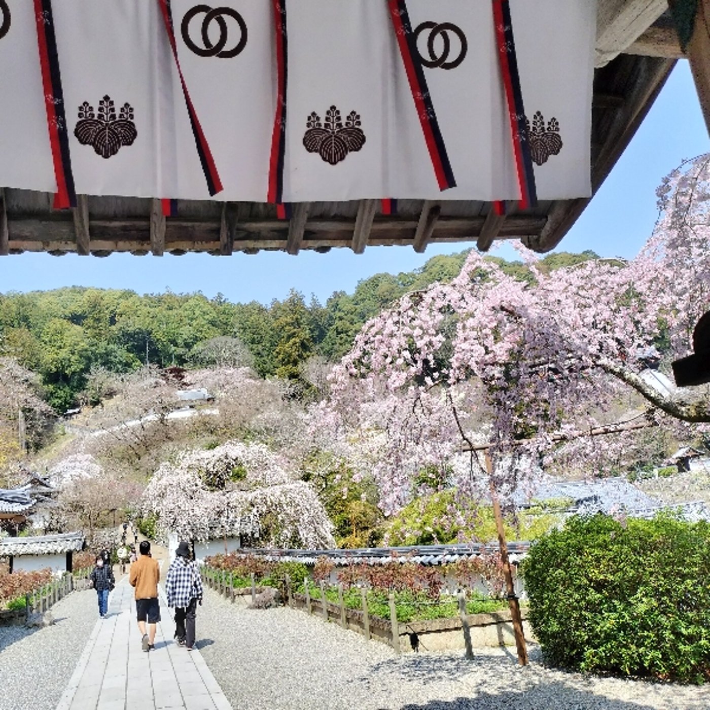 新年度スタートです😆