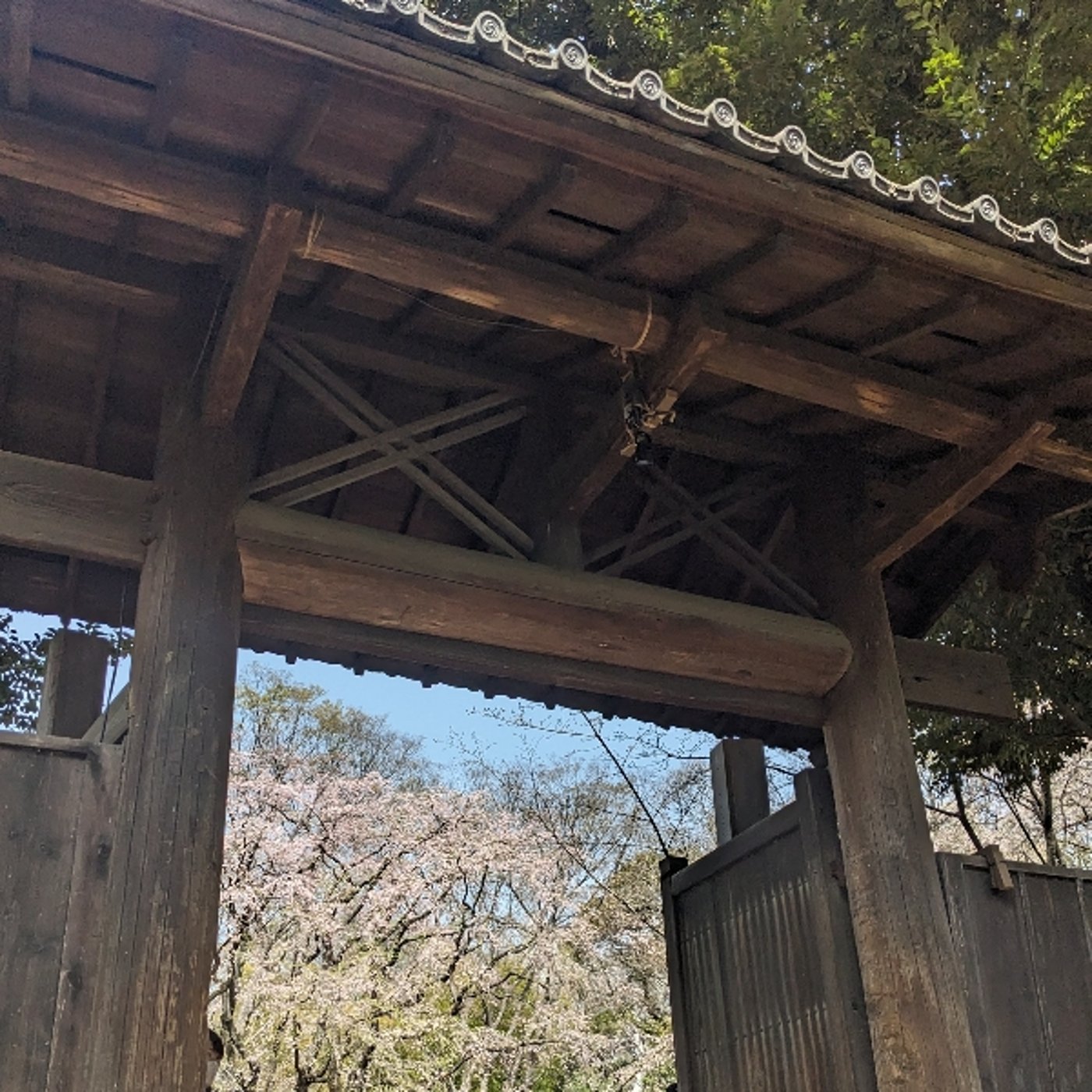 「母の日にもらった肩たたき券より嬉しい券」