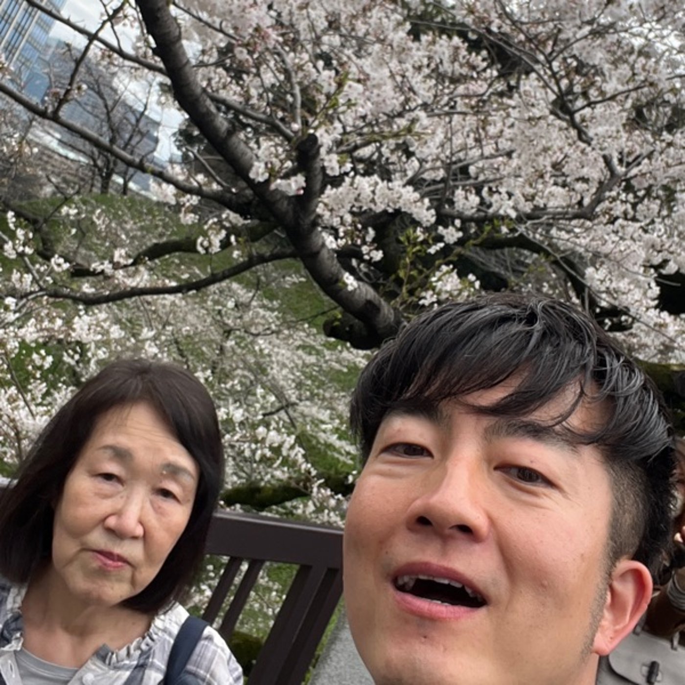 【第514回】千鳥ヶ淵にお花見してきたよ