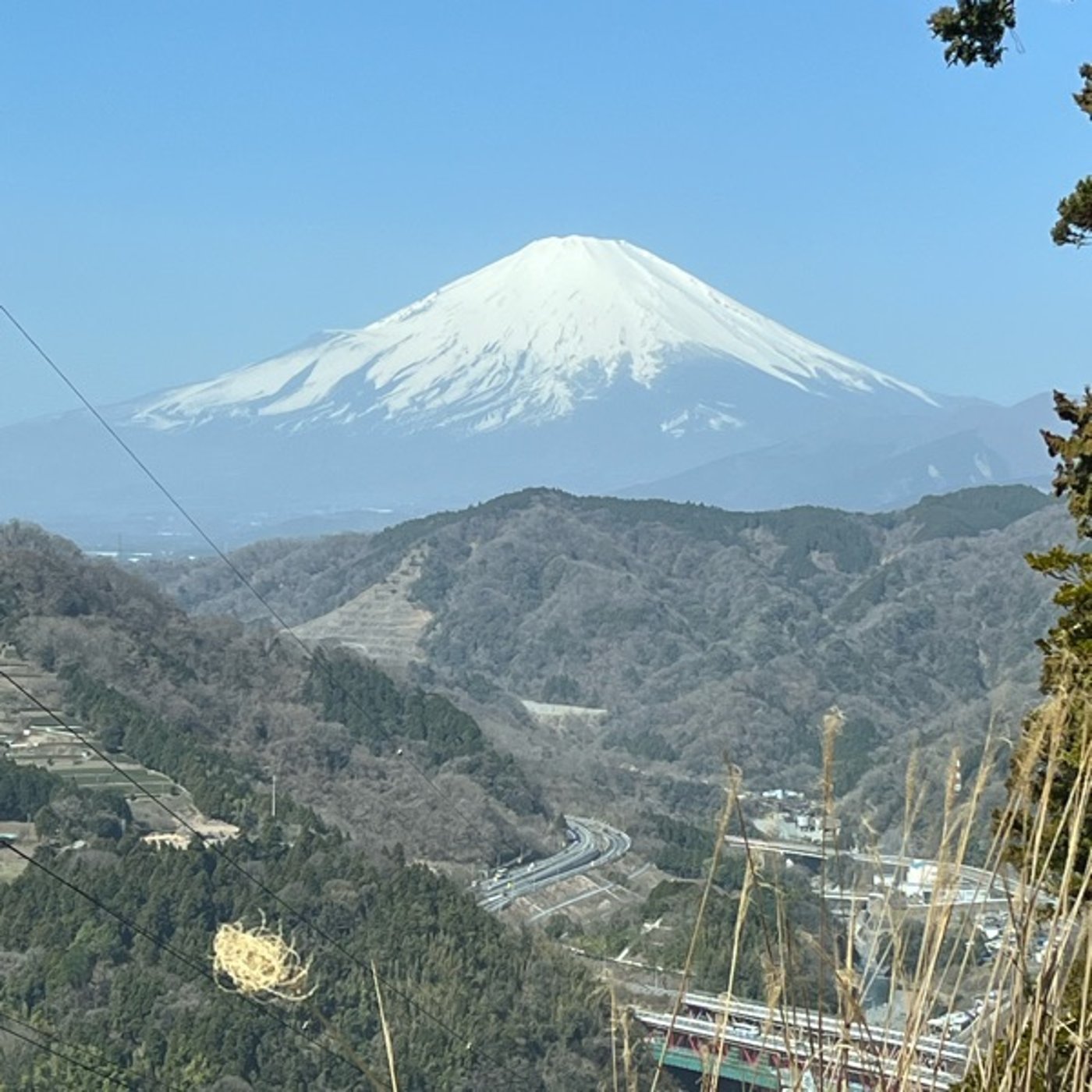 #0660 入学シーズン！高校生の頃を思い出しました