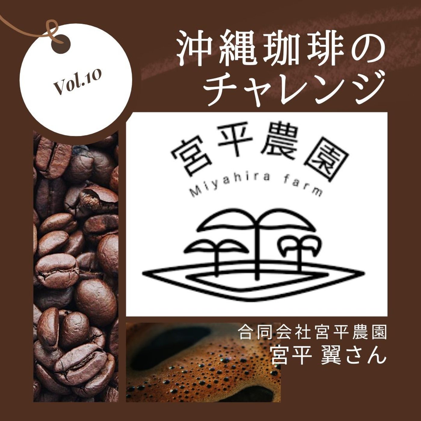 沖縄珈琲のチャレンジ.10 合同会社宮平農園 宮平 翼さん