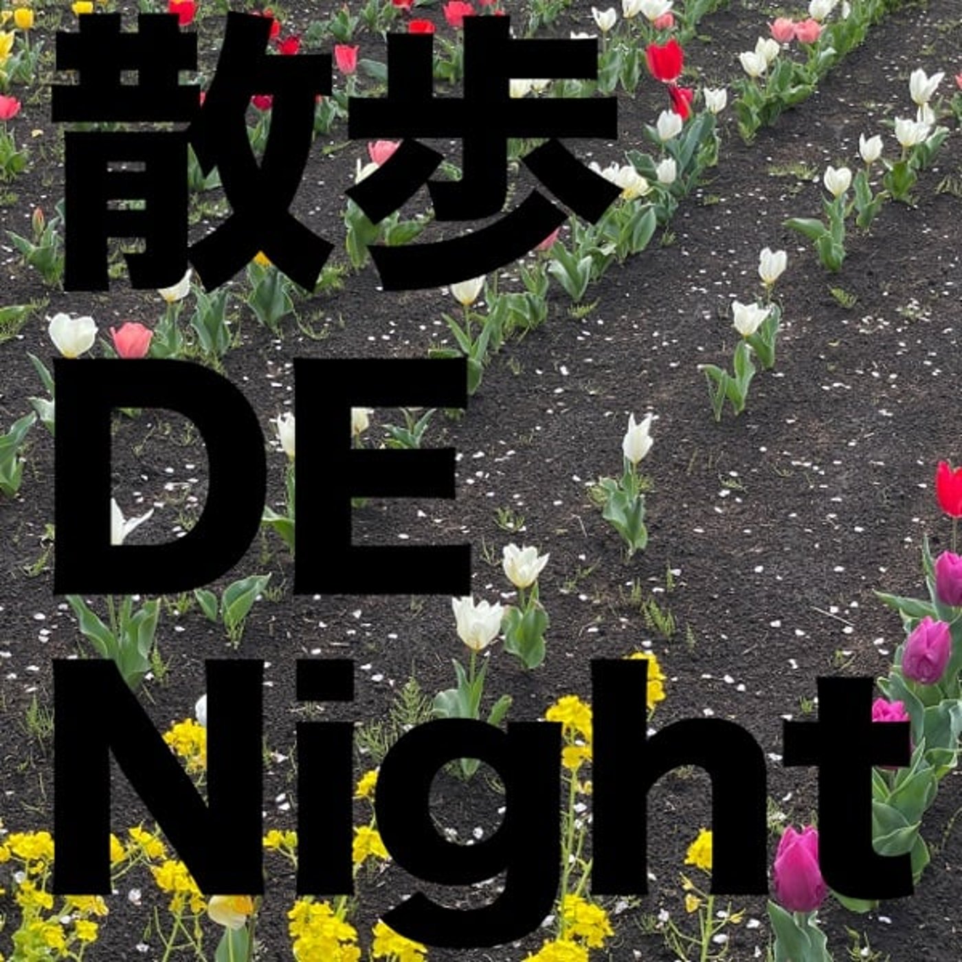 お酒 GA Night