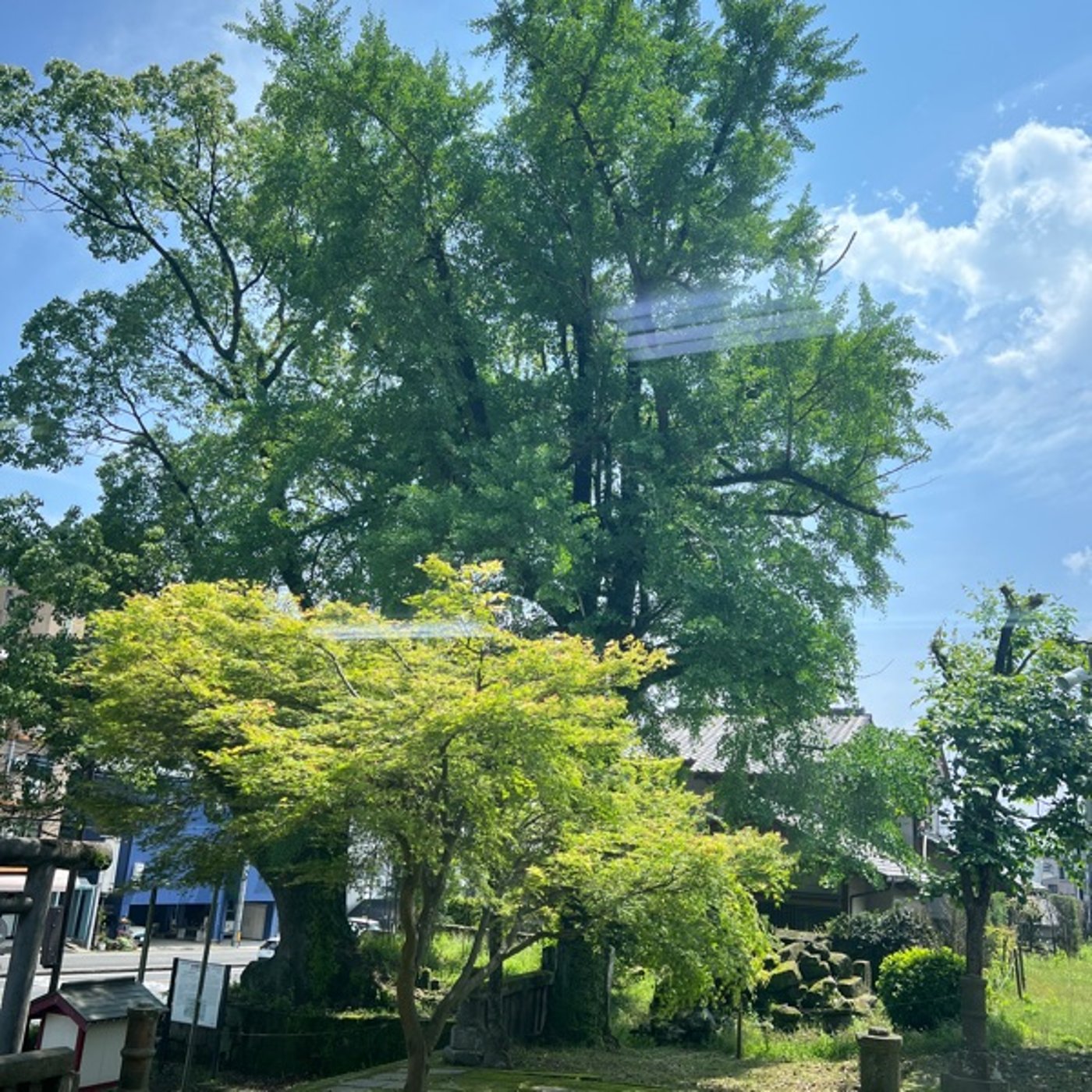 答えは私の中にある。時々湧いてくる蟲がそれを教えてくれている。蟲師面白い