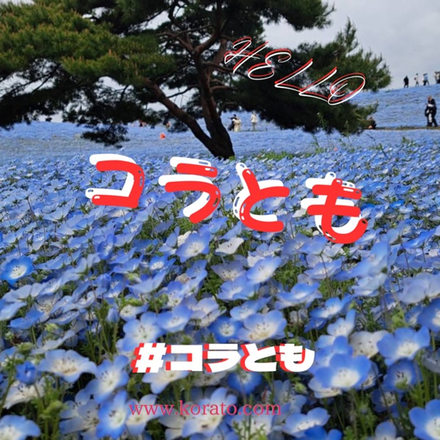 【コラとも】コラボ友達seaso18・・・#1 episode artwork