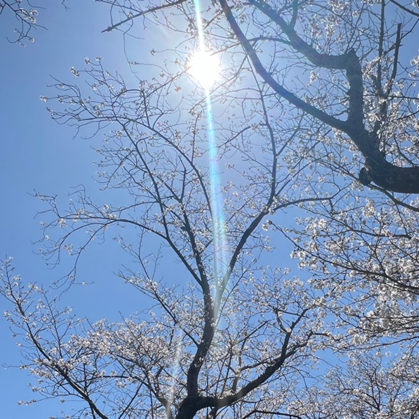 人は自分の人生の目的を探してる。自分軸で生きるのって視点を変えるだけ