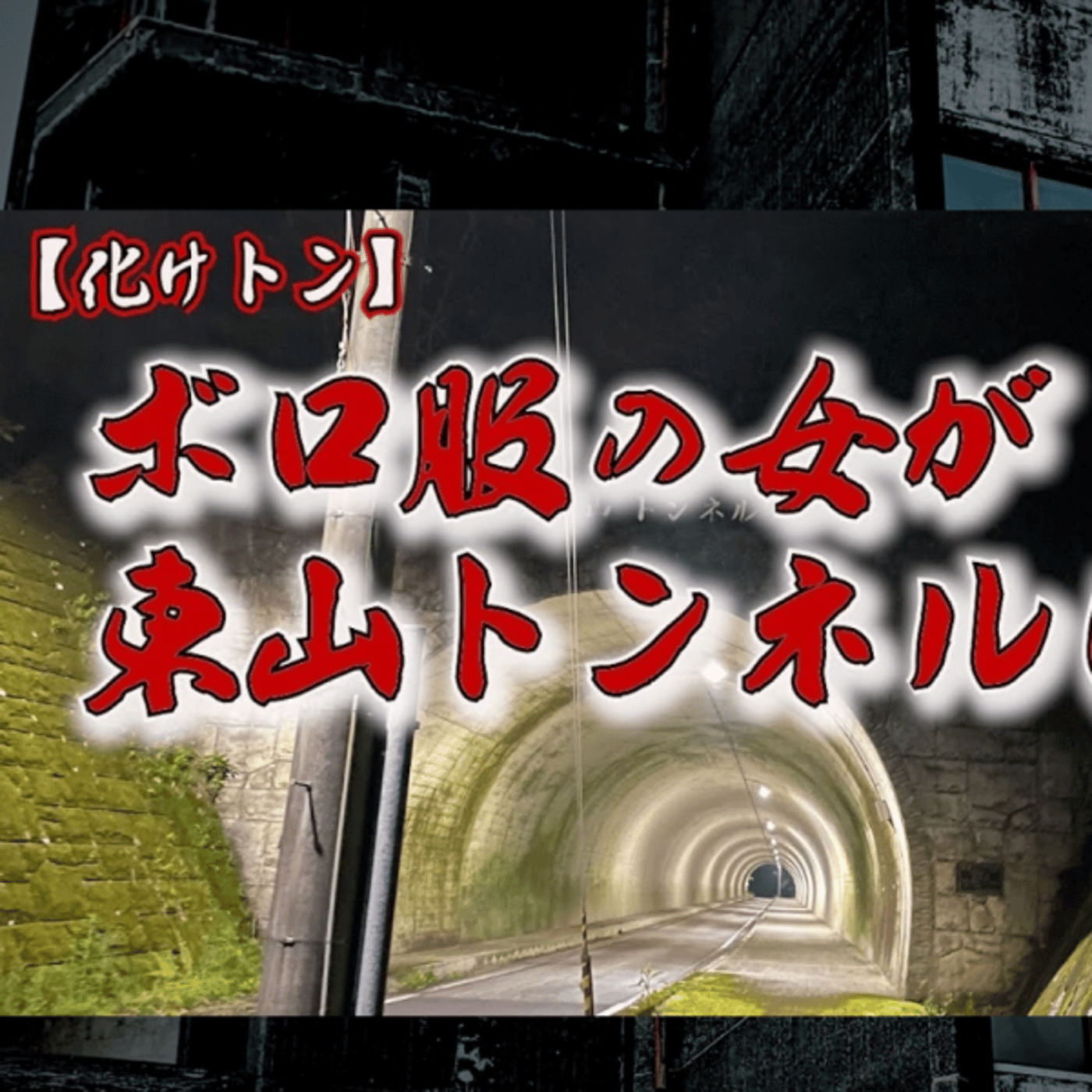 ポチ男チャンネル ライブ episode artwork