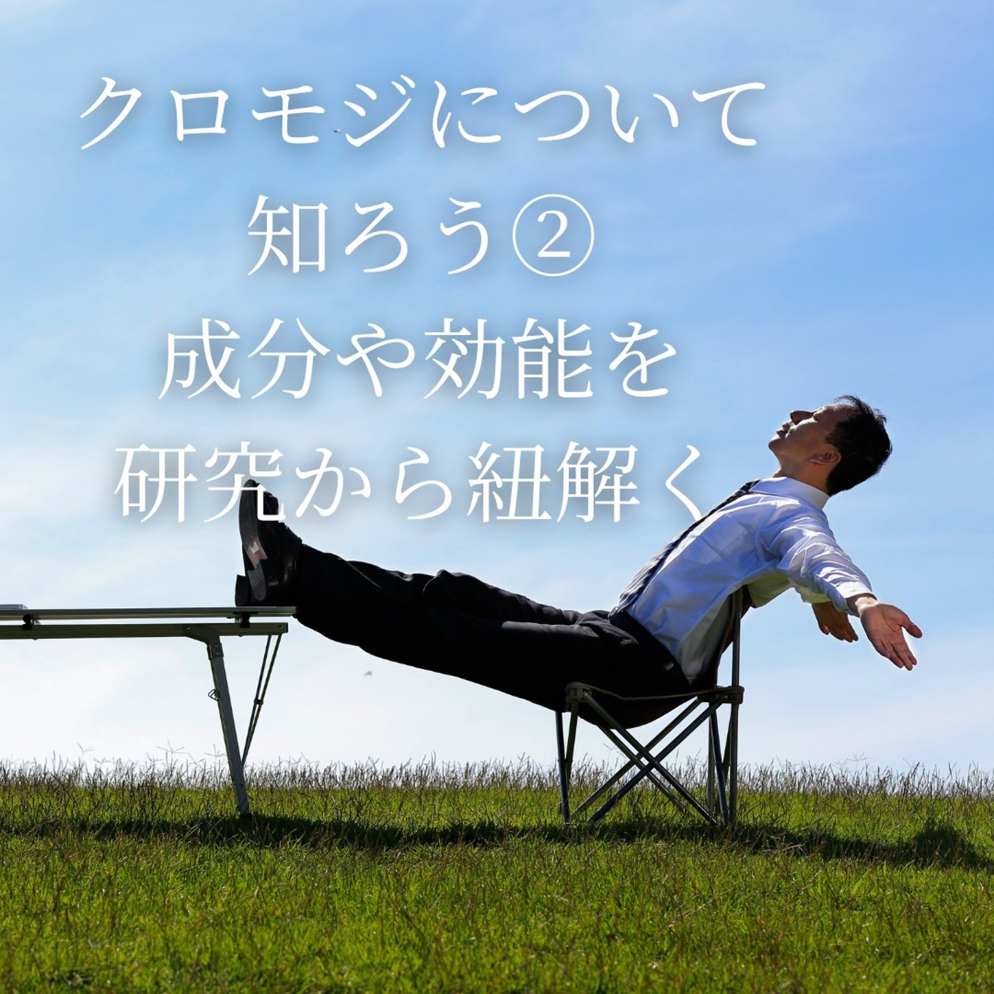 #366クロモジについて知ろう②主な成分や効能を研究から紐解く episode artwork
