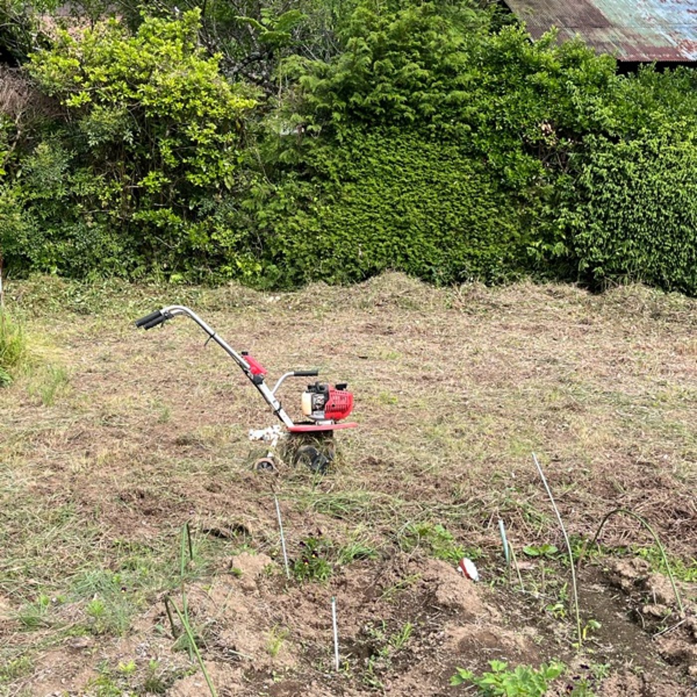 #0704 古民家キャンプ〜風の谷〜再始動しました