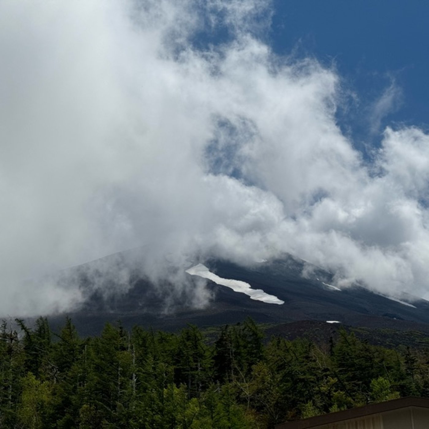 #0715 雨上がり、自然の息吹を感じる月曜日