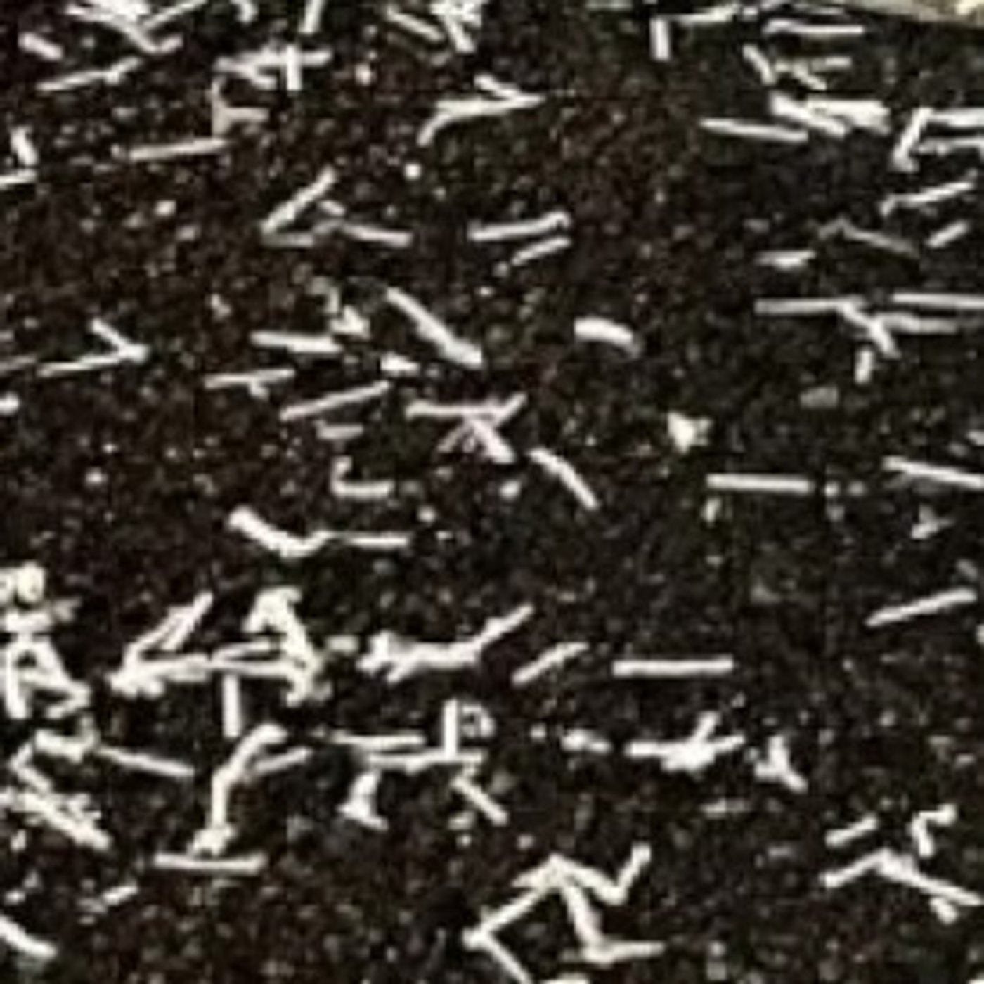 【疑問】道端のシュレッダーのゴミあれ何？【何？】 episode artwork