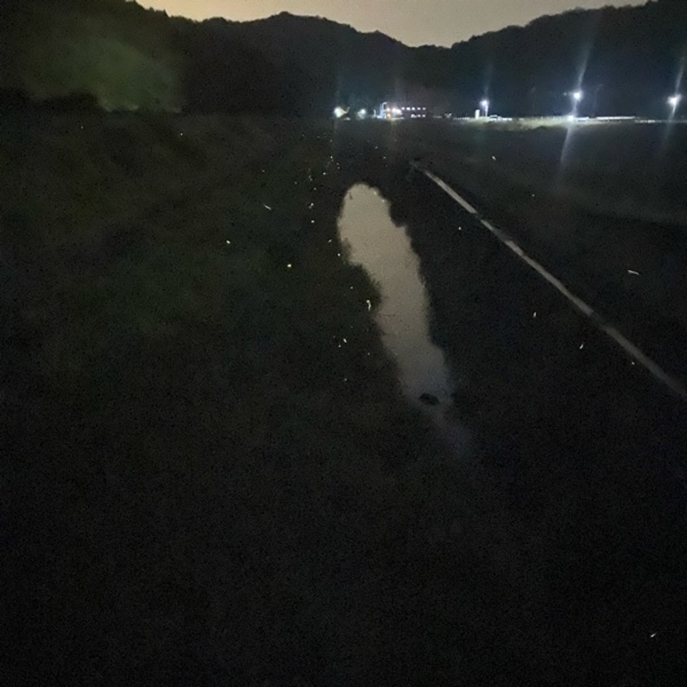 篠山のお家には蛍が飛んでくる　為にはならないほんわか田舎のものがたりです。