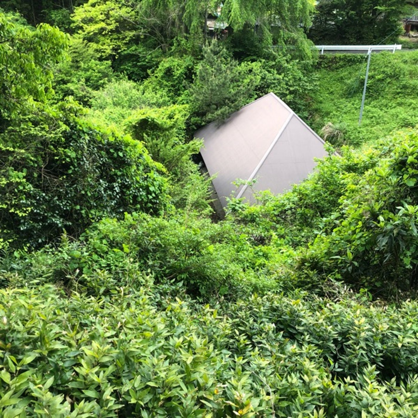 #0727 【tb Saturday】古民家キャンプ風の谷