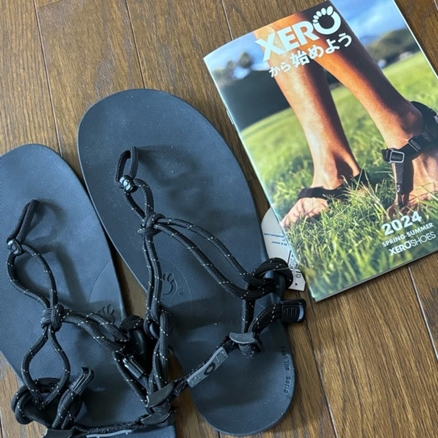 履くだけで健康になるサンダル XERO SHOES episode artwork