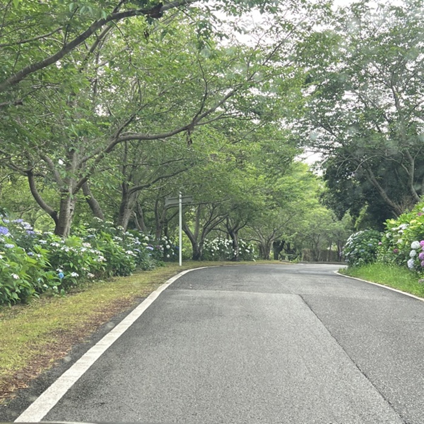 とんでもなく前進していく場に身を置くと自分も前向き