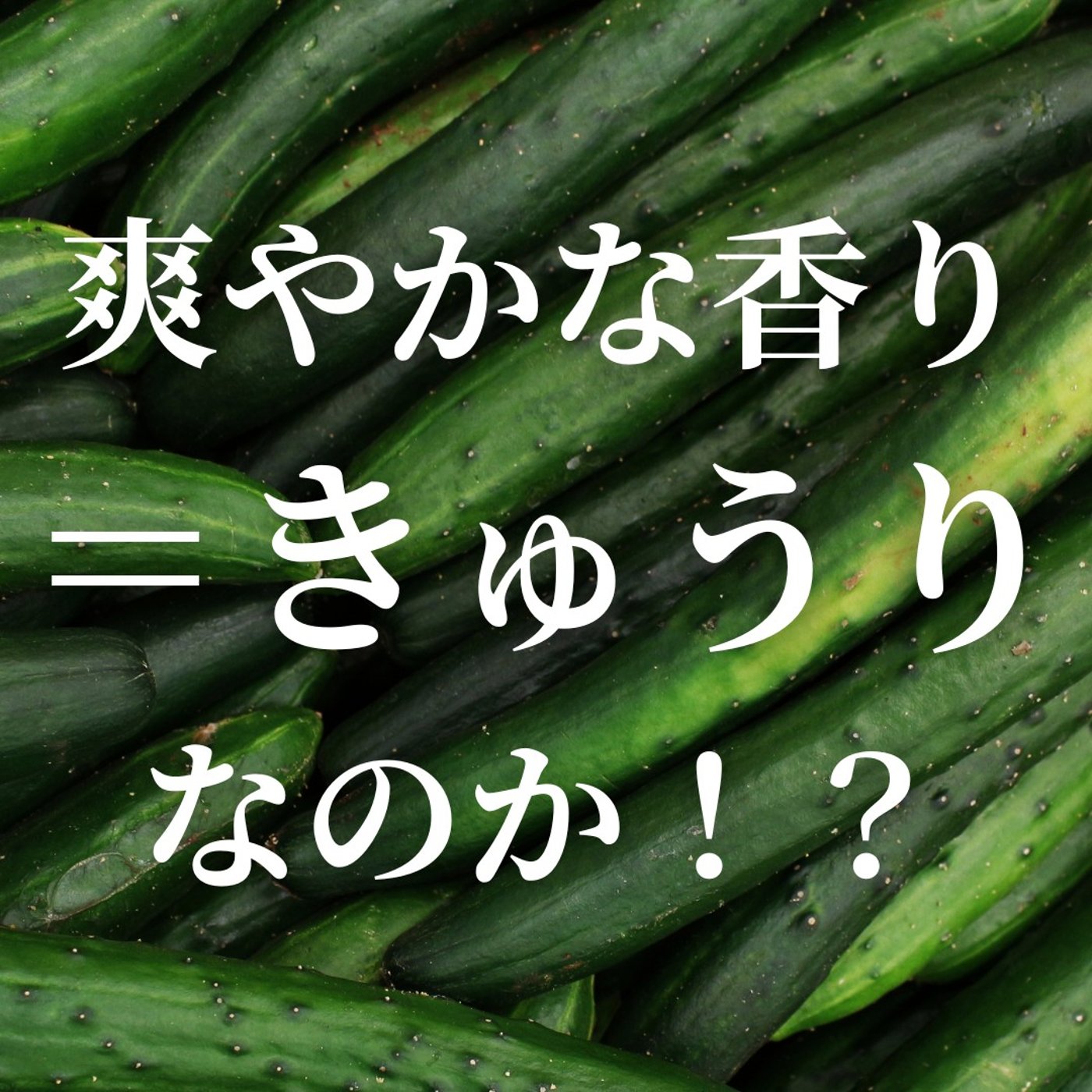 #381　爽やかな香り＝「きゅうり」なのか！？ episode artwork
