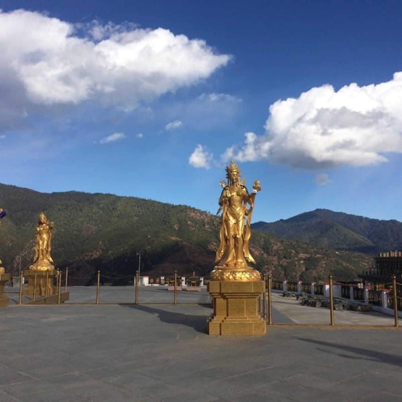 からだの痛み　その根っこはいかに？！？