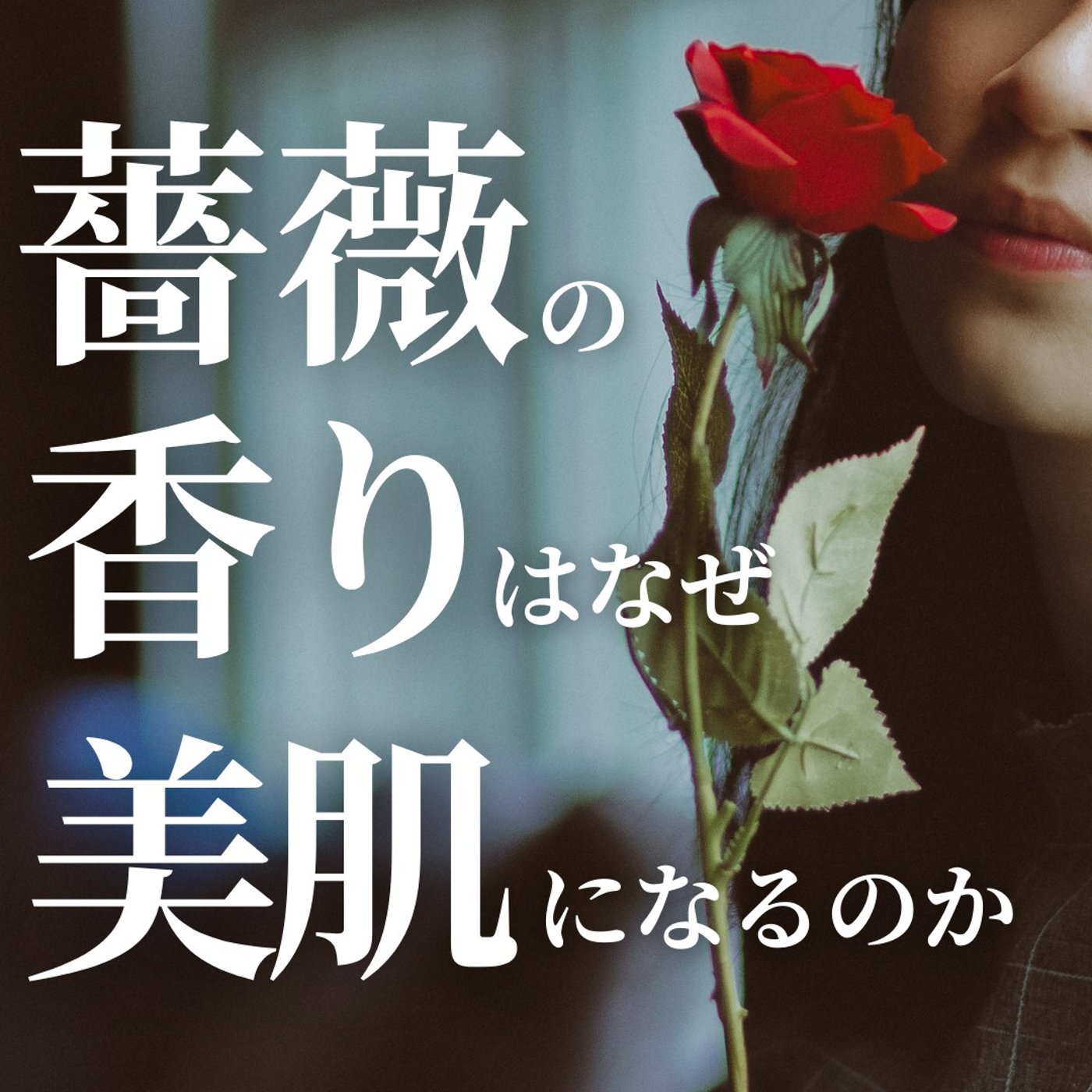 #385 薔薇の香りはなぜ美肌になるのか episode artwork