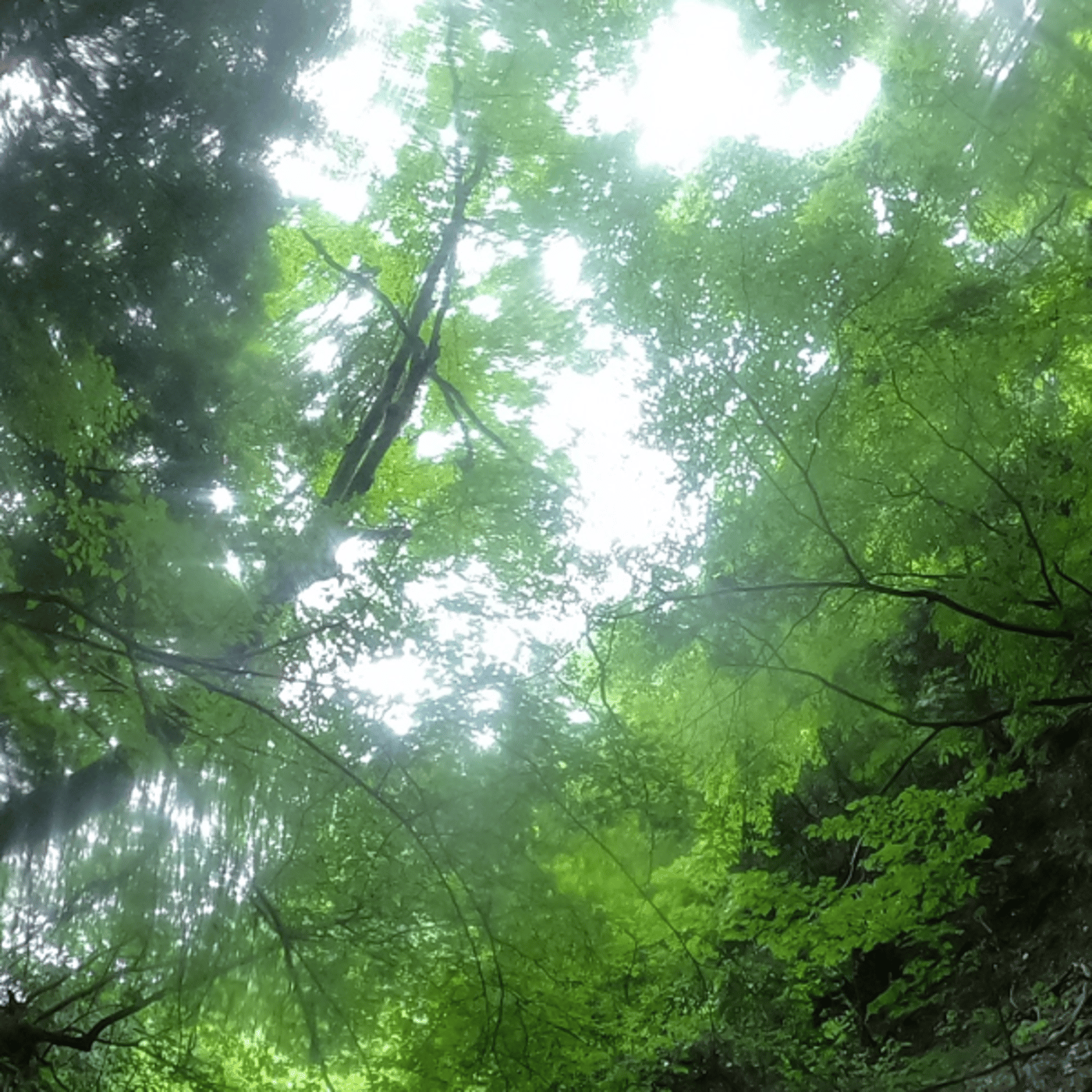 #0762【tb Satureday】公開収録 暑さに負けるな！