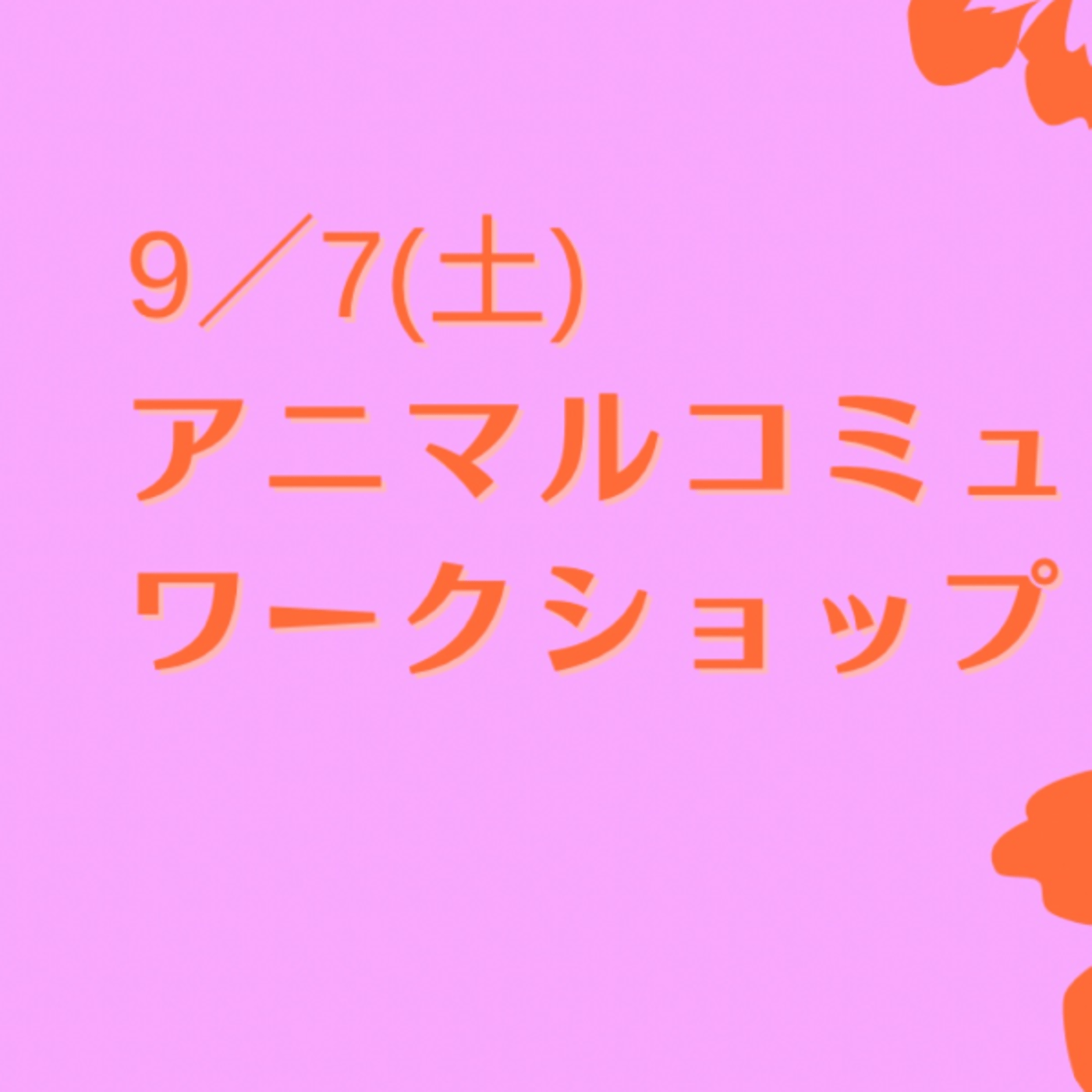雑談⭐︎直感を磨くためのヒント✨10分朝ワーク♪ episode artwork