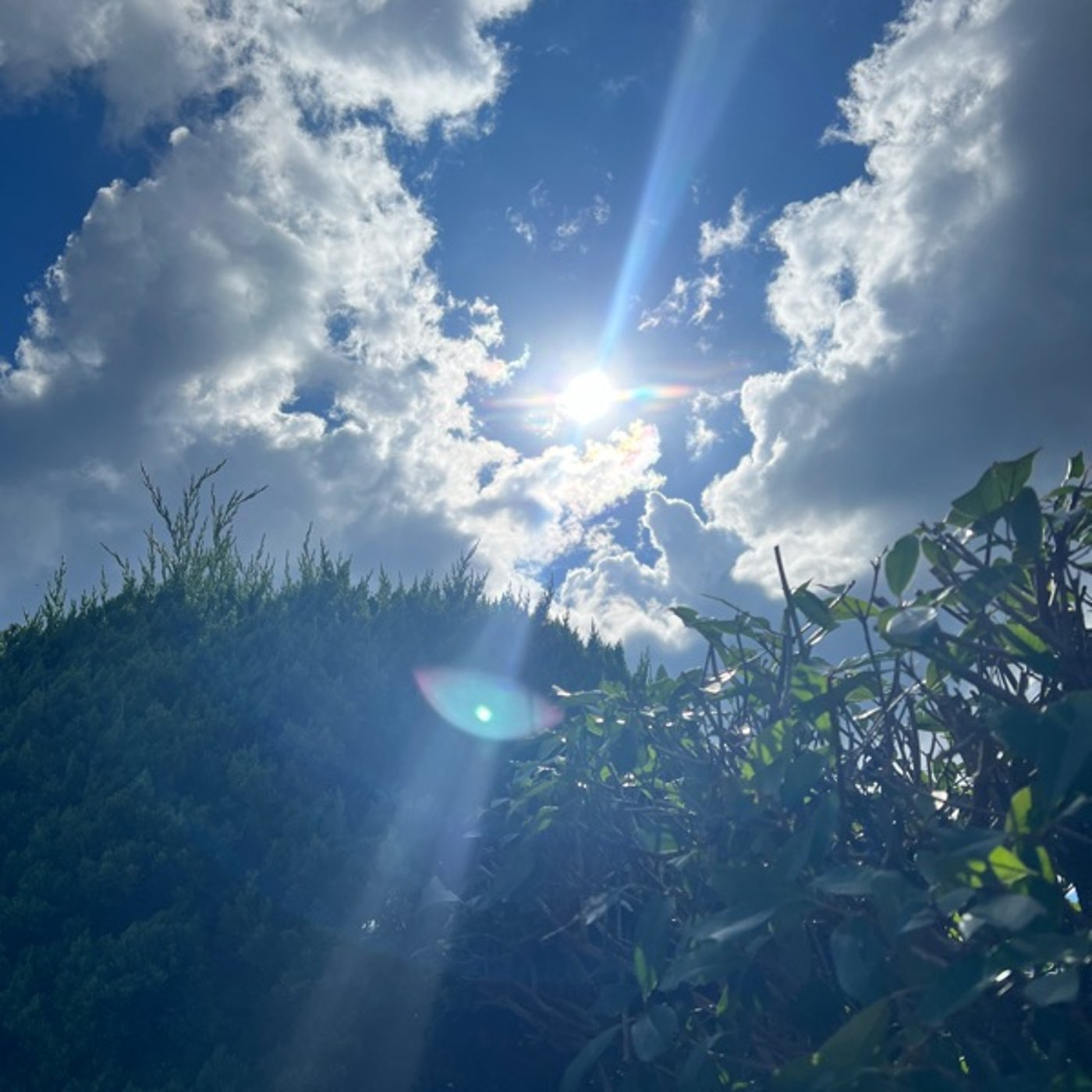 これからの生き方を決めた回 episode artwork