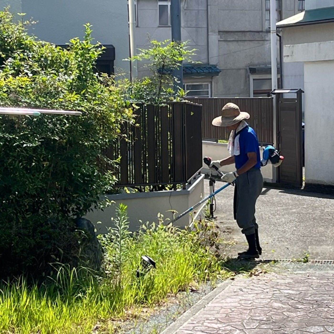 #0772 もはや人間が住めない気候になってます