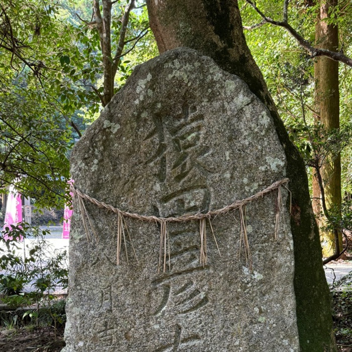【1418回】「昔は...」と言う人が改革を止める🫷🏼過去に捉われ🪢 episode artwork