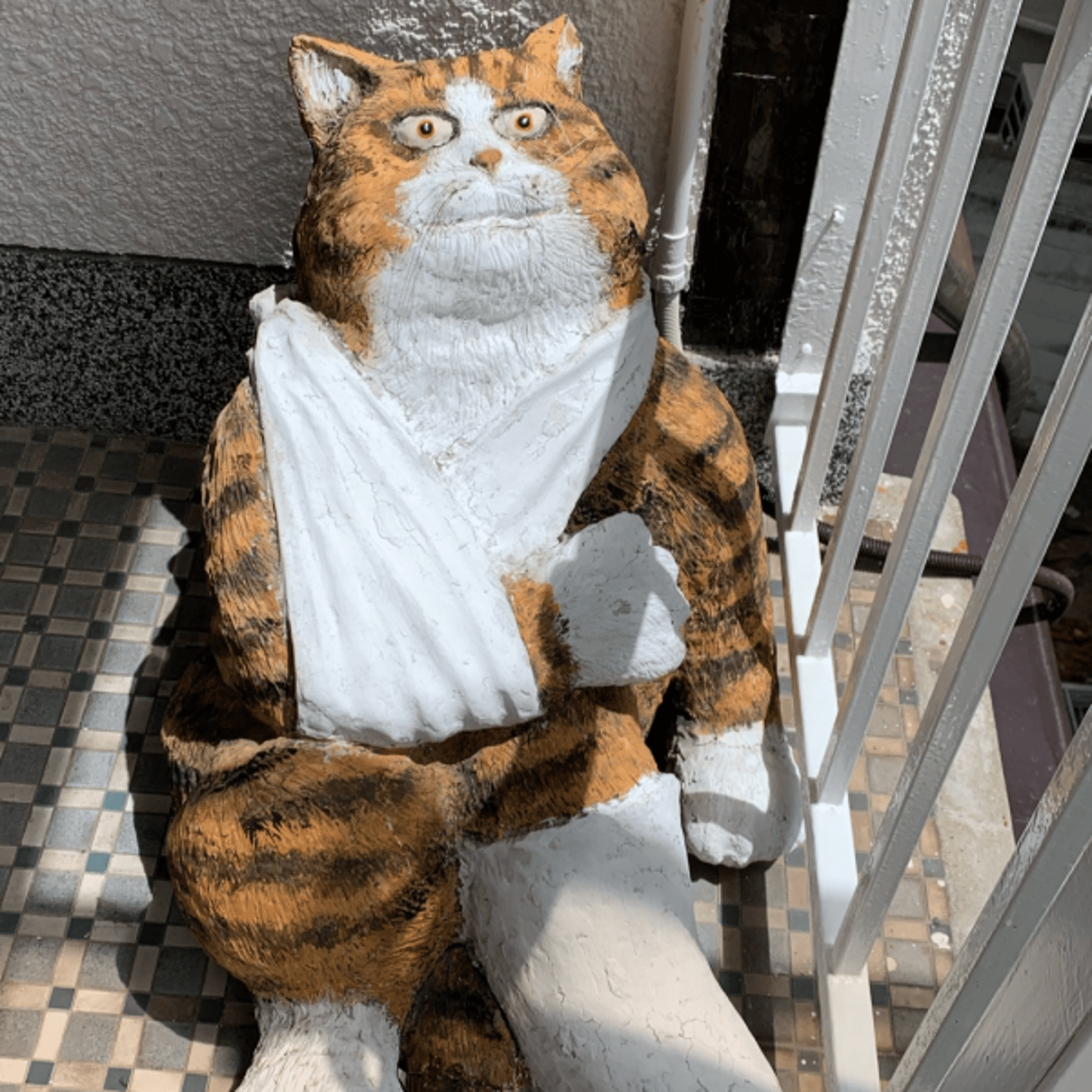 痛々しい猫… 何があったんだ？！ episode artwork