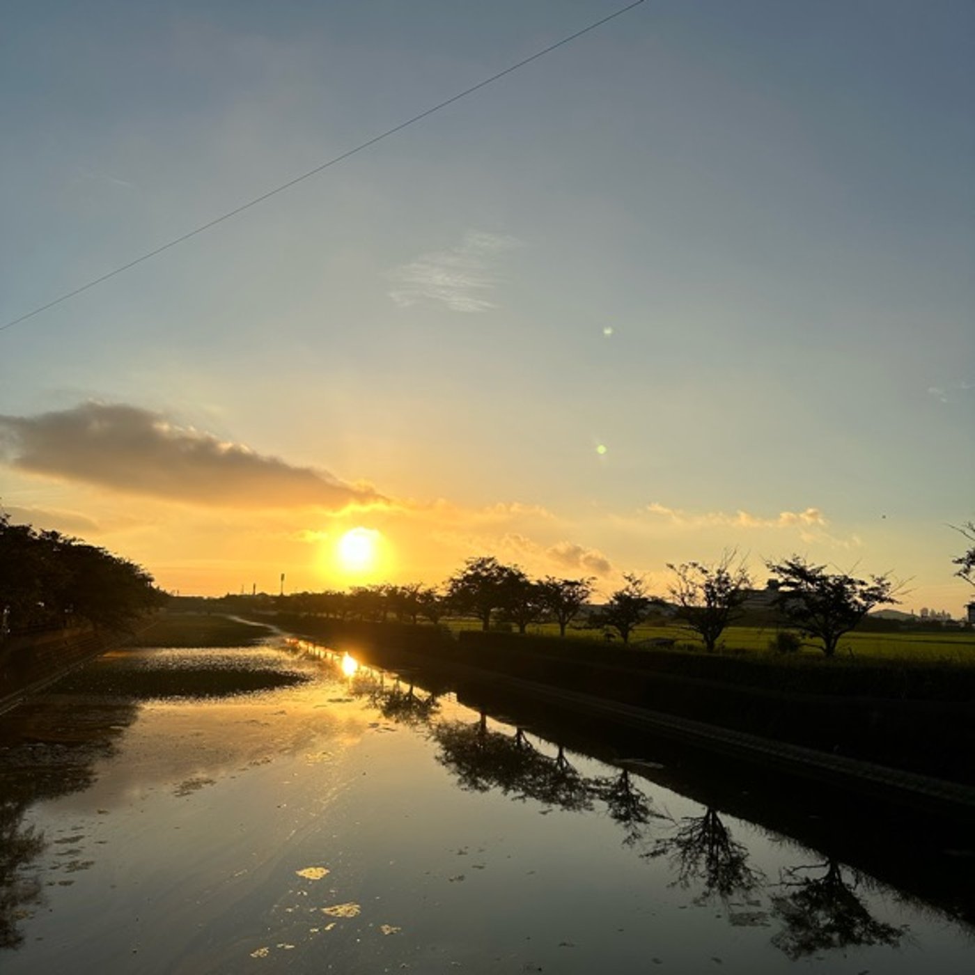 発達障害のミカタ