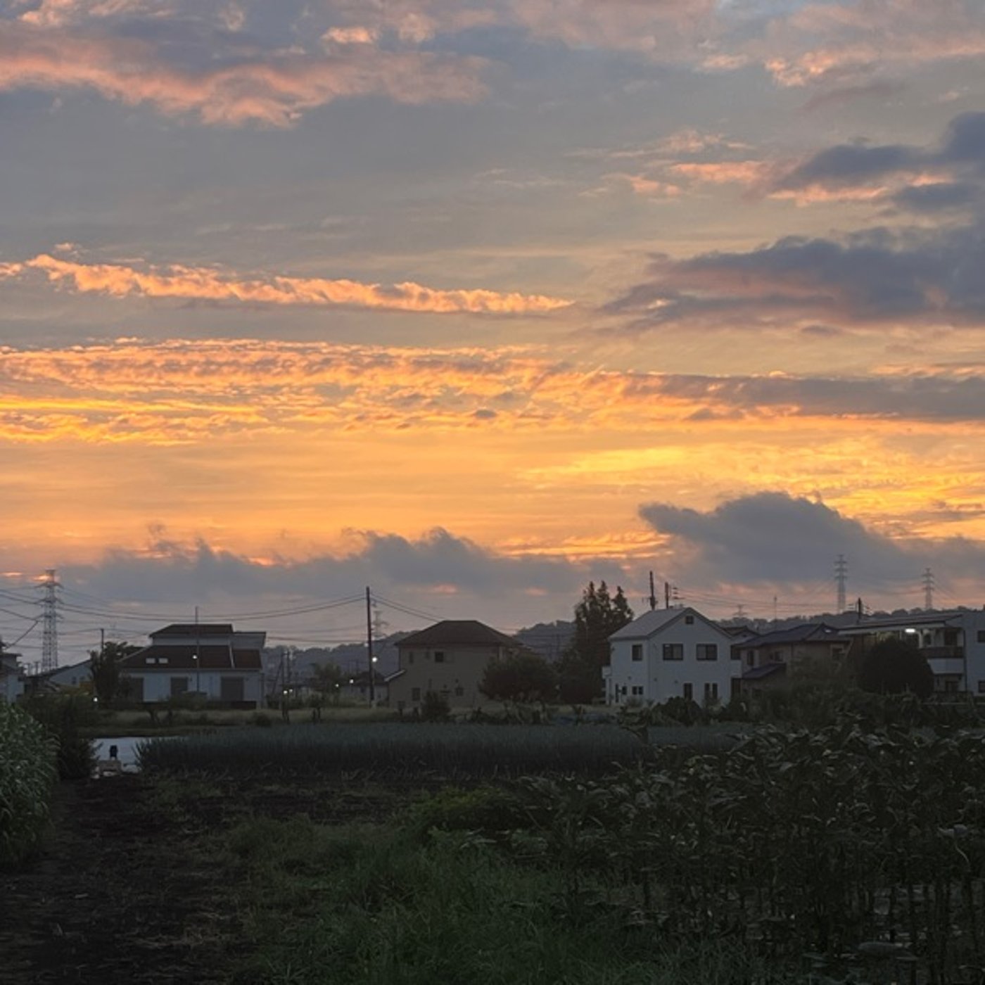 農家見習いの備忘録 #133 昨年の今日、父の調子が悪く、いろいろ病院対応でした episode artwork