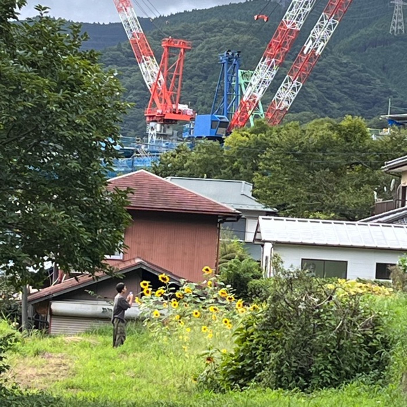 #0800 息子と夏合宿4日間の振りかえり